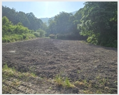  2024Ÿ��70358 ���� �强�� ���ϸ� �ڻ긮 275      ����(��1)���