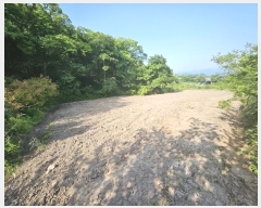  2024Ÿ��70358 ���� �强�� ���ϸ� �ڻ긮 275      ����(��1)���