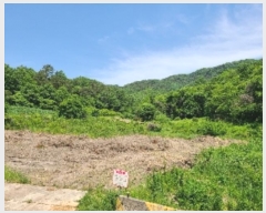  2024Ÿ��70358 ���� �强�� ���ϸ� �ڻ긮 275      ����(��1)���