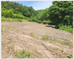  2024Ÿ��70358 ���� �强�� ���ϸ� �ڻ긮 275      ����(��1)���