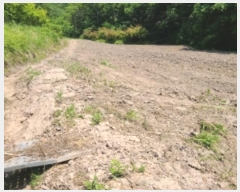  2024Ÿ��70358 ���� �强�� ���ϸ� �ڻ긮 275      ����(��1)���