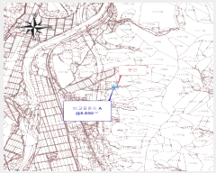  2024Ÿ��70358 ���� �强�� ���ϸ� �ڻ긮 275      ����(��1)���