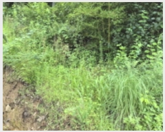  2024Ÿ��76622 ���� ��� ����� ������ 204-1      ����(��1)���