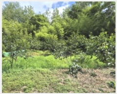  2024Ÿ��76622 ���� ��� ����� ������ 204-1      ����(��1)���