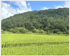  2024Ÿ79188  ֽ 굿 282-1       (1)