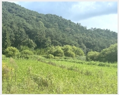  2024Ÿ79188  ֽ 굿 282-1       (1)