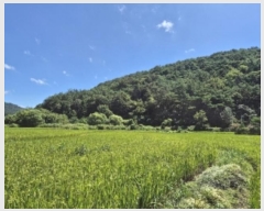  2024Ÿ79188  ֽ 굿 282-1       (1)