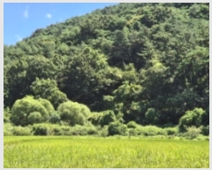  2024Ÿ79188  ֽ 굿 282-1       (1)