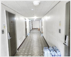  2024Ÿ4177  걸 ӹ825 19, 3 302ȣ (־ϵ,̿Ƽ5)    Ʈ