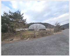  2024Ÿ9523  ֽ   114-6      ()