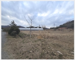  2024Ÿ9523  ֽ   114-6      ()