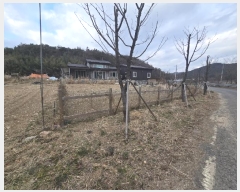  2024Ÿ9523  ֽ   114-6      ()