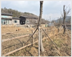  2024Ÿ9523  ֽ   114-6      ()