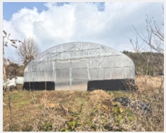  2024Ÿ9523  ֽ   114-6      ()