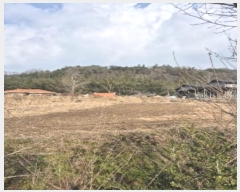  2024Ÿ9523  ֽ   114-6      ()