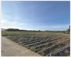  2024Ÿ81723    帮 248      (1)