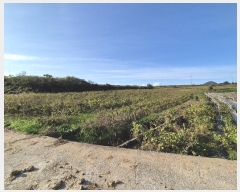  2024Ÿ81723    帮 248      (1)