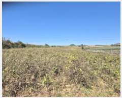  2024Ÿ81723    帮 248      (1)