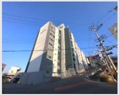  2024Ÿ82481    22, 1 9 903ȣ (굿,쿵Ʈ)   Ʈ