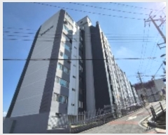  2024Ÿ82481    22, 1 9 903ȣ (굿,쿵Ʈ)   Ʈ