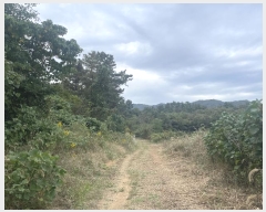  2024Ÿ��82801  �����