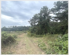  2024Ÿ��82801  �����