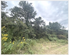  2024Ÿ��82801  �����