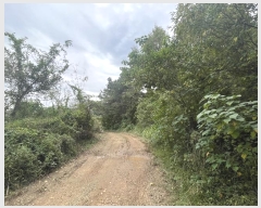  2024Ÿ��82801  �����