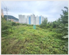  2024Ÿ83217  ֽ ۿ 683-5       (1)