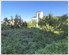  2024Ÿ83217  ֽ ۿ 683-5       (1)