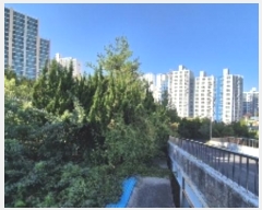  2024Ÿ83217  ֽ ۿ 683-5       (1)