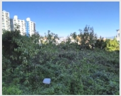  2024Ÿ83217  ֽ ۿ 683-5       (1)