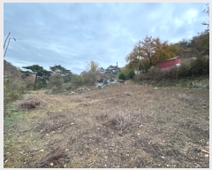  2024Ÿ85695  籺  긮 64      (1)