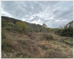  2024Ÿ85695  籺  긮 64      (1)