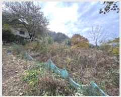  2024Ÿ85695  籺  긮 64      (1)