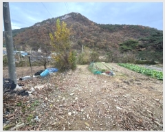  2024Ÿ85695  籺  긮 64      (1)