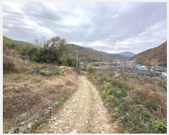  2024Ÿ85695  籺  긮 64      (1)