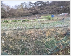  2024Ÿ85695  籺  긮 64      (1)