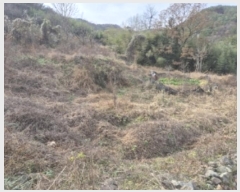  2024Ÿ85695  籺  긮 64      (1)