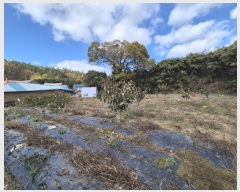  2024Ÿ85985     449      ()