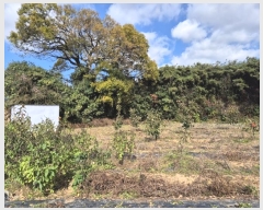  2024Ÿ85985     449      ()