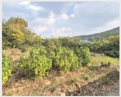  2024Ÿ85985     449      ()