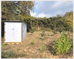  2024Ÿ85985     449      ()