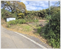  2024Ÿ85985     449      ()