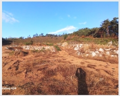  2024Ÿ��86889 ���� �强�� ����� ��ϸ� ��46      ����(�Ӿ�)���