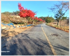  2024Ÿ��86889 ���� �强�� ����� ��ϸ� ��46      ����(�Ӿ�)���