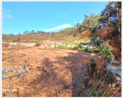  2024Ÿ��86889 ���� �强�� ����� ��ϸ� ��46      ����(�Ӿ�)���