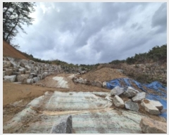  2024Ÿ��86889 ���� �强�� ����� ��ϸ� ��46      ����(�Ӿ�)���