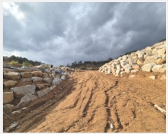  2024Ÿ��86889 ���� �强�� ����� ��ϸ� ��46      ����(�Ӿ�)���