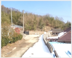  2024Ÿ��89581  �������